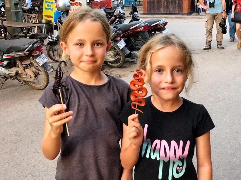 Snake On A Stick In Cambodia Is A Popular Street Food. To Try When Visiting Cambodia.